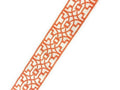 Fretwork 3.5 Silk Orange Ivory Embroidered Transitional Border Tape